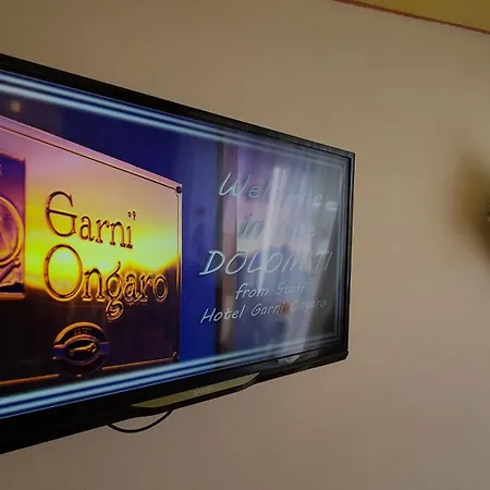 Garni Ongaro 호텔 3*