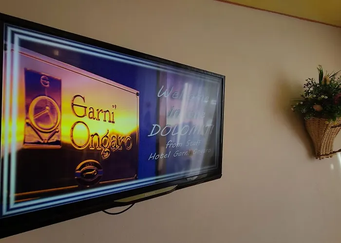 Garni Ongaro Hotel 3*