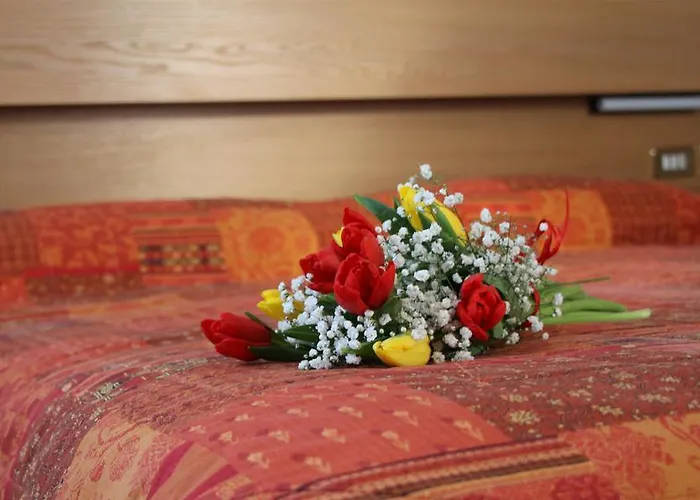 Garni Ongaro 3* Selva di Cadore