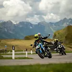 Hotel Garni Ongaro 3*