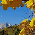 Garni Ongaro Selva di Cadore