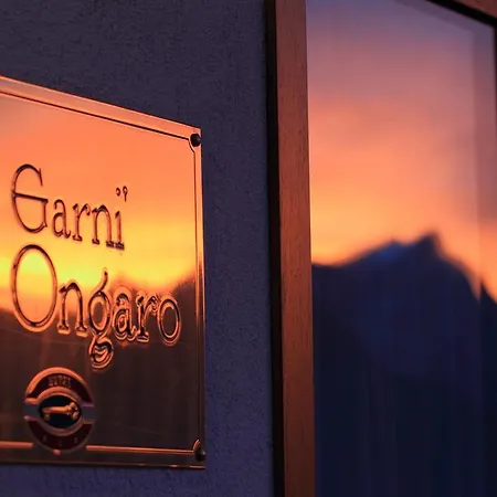 Garni Ongaro Hotel 3*