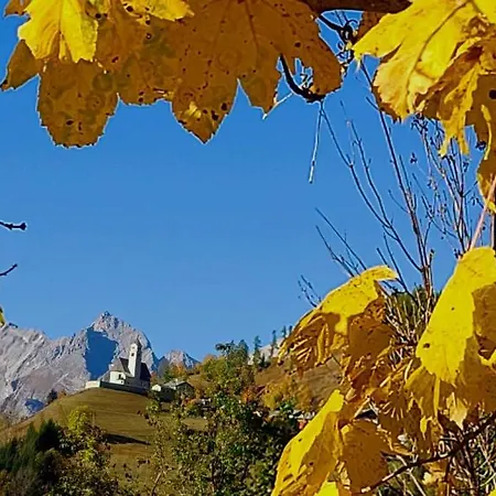 Garni Ongaro Selva di Cadore