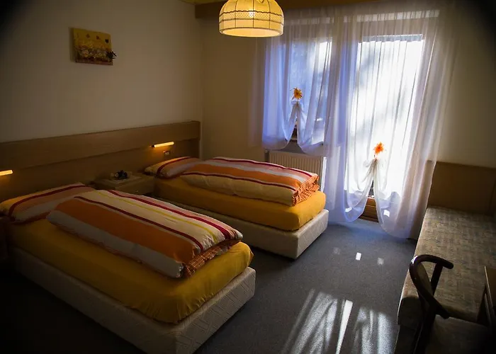 Garni Ongaro Hotel 3*